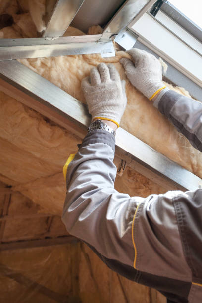 Best Residential Insulation in Essexville, MI