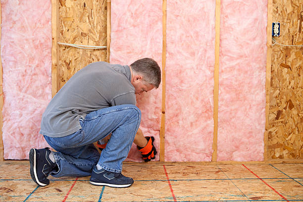 Best Insulation Maintenance and Repair in Essexville, MI