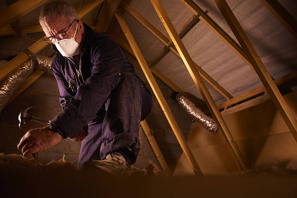Best Specialized Insulation Services in Essexville, MI